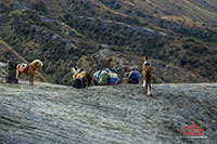 Sony A6000 | Sony 28-70mm | 1/80 | f8 | ISO 100 | Single Exposure